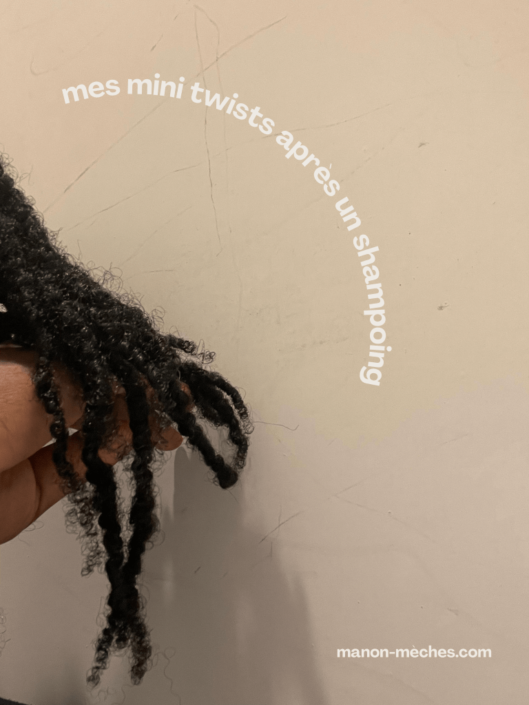 voici mes mini twists après un shampoing, leave in et huile. Pour le coup ce jour là je n'étais pas fan du rendu